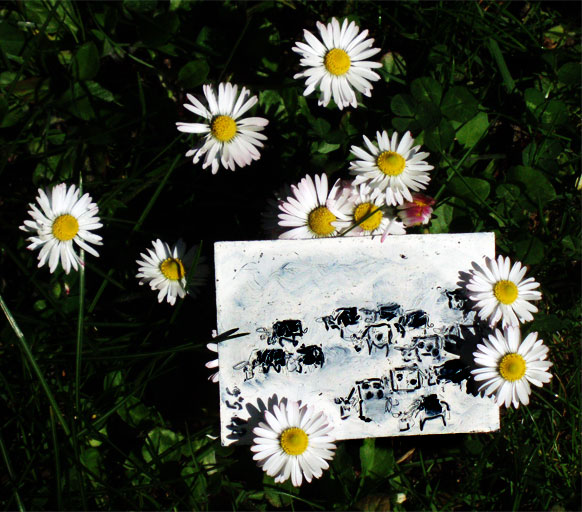 cow flower cartoon