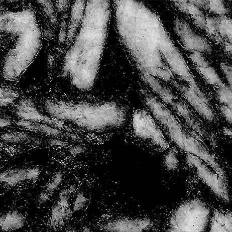 Probably black and white