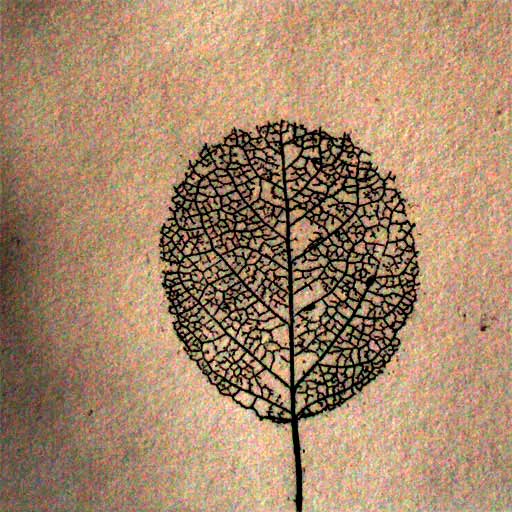 botanical leaf copper etching