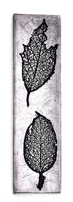 ephemeral holly leaf