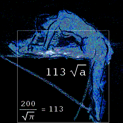 My Image 4