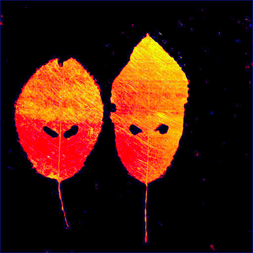 The most dangerous ghost in the world non-verbal communicates with postural cues