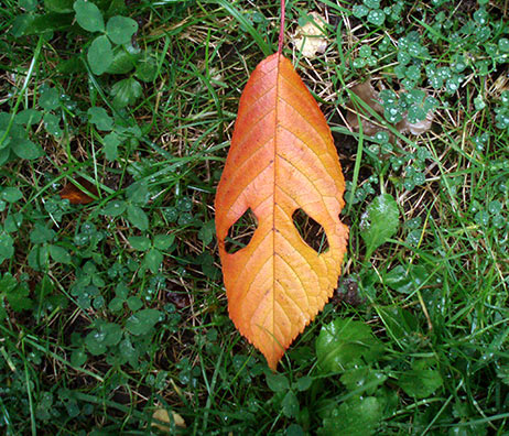 symbol for hidden happiness