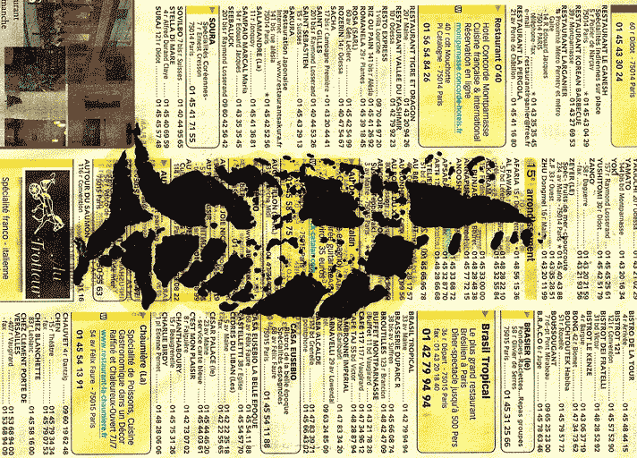 Graphic Fish is overlooked by historical surveys