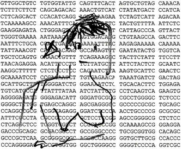 useful DNA art