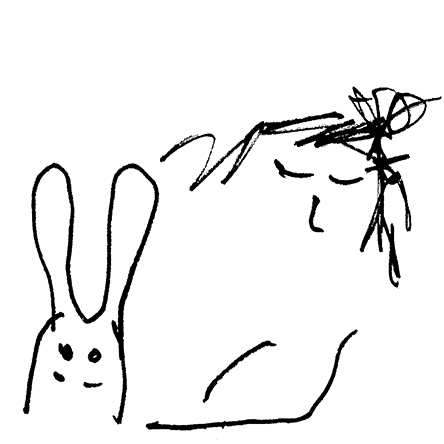 imaginary gardens with real bunnies