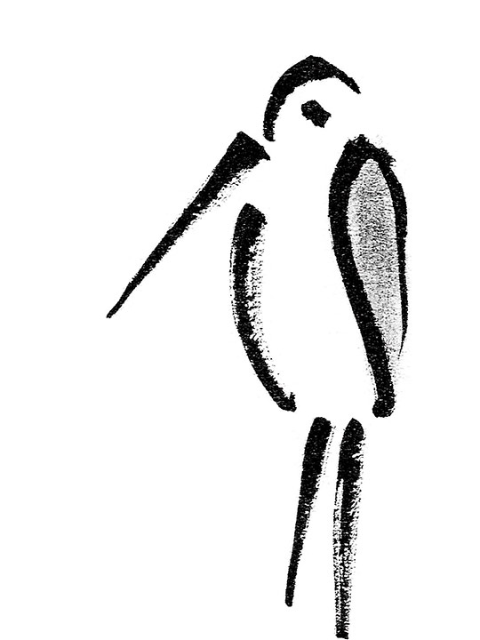 The art of drawing is the art of omission