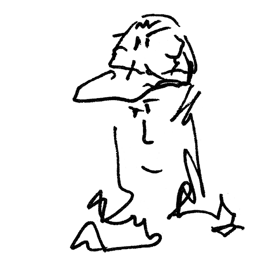 cap duck ambiguity