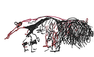 an anteater in profile to look more whimsical