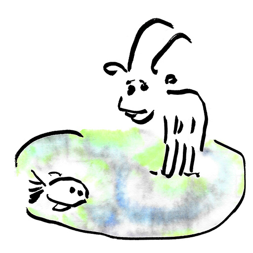 big fish in a small pond