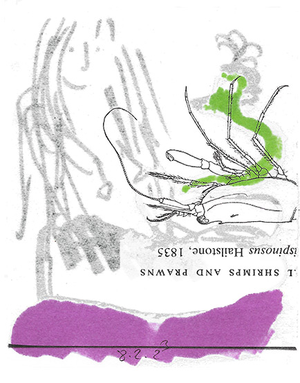 singular art model with an odd snake