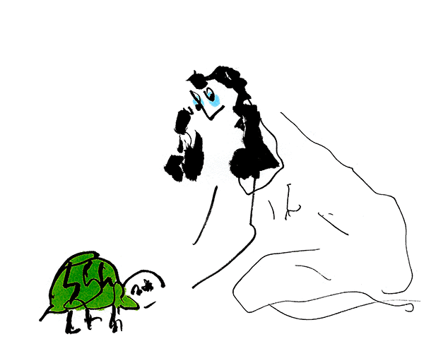 weirdly cute tortoise