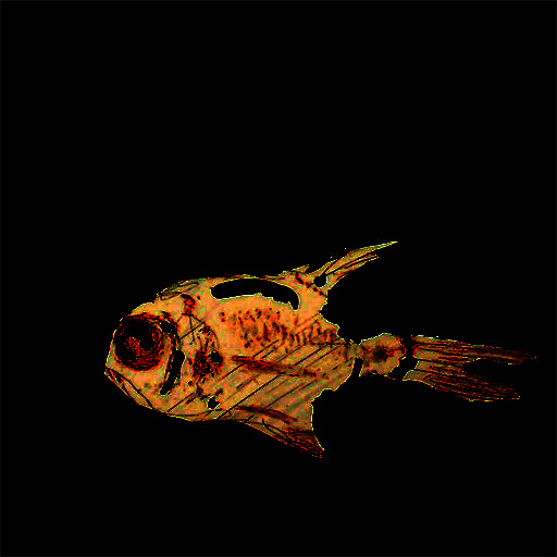 alternative art dwells in odd-fish art