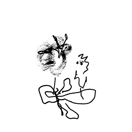 black mandrake