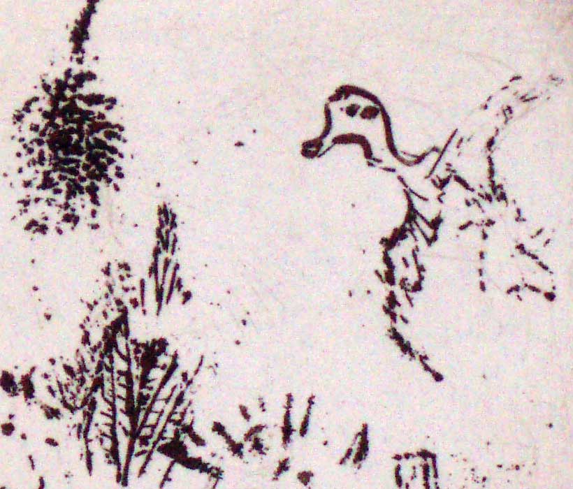 odd  bird algebra