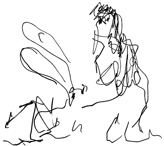 zigzagging hare