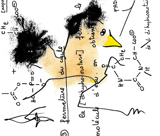 science challenging traditional notions of art