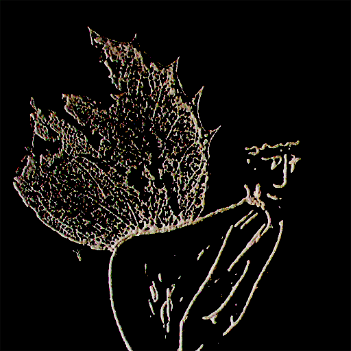 Proof of fairies Proof of fairies